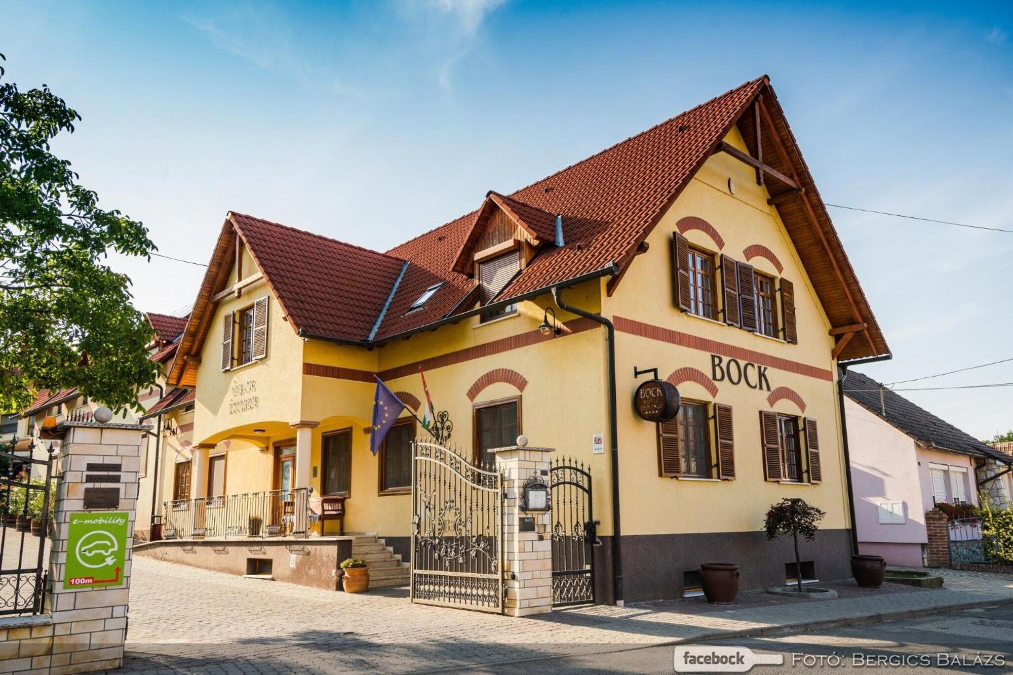 Bock Hotel Ermitage Villany Bagian luar foto